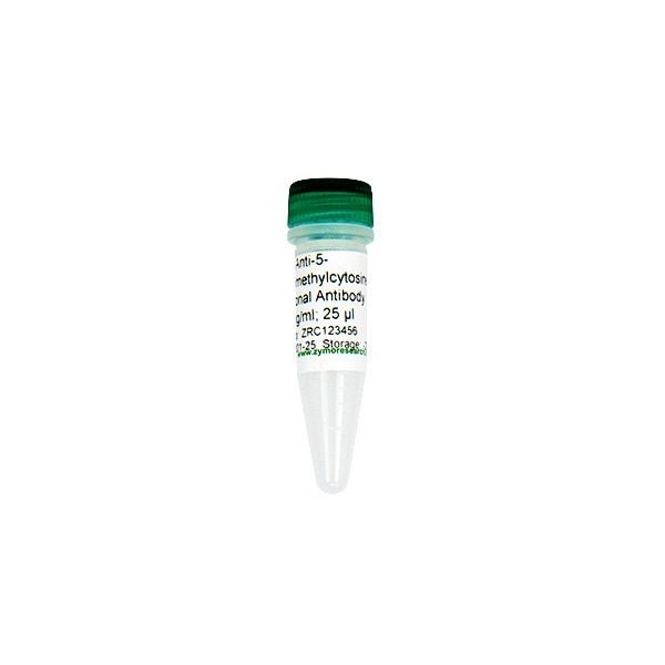 Anti-5-Hydroxymethylcytosine Polyclonal Antibody, 25 ug, 1 µg/µl